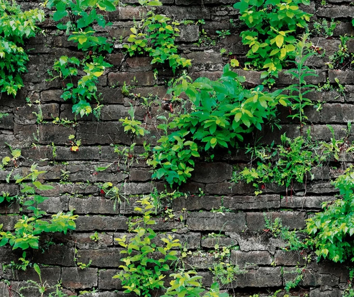 Brick Wallpaper